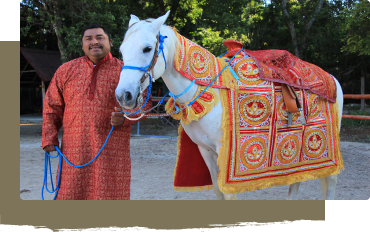 hindu weddings